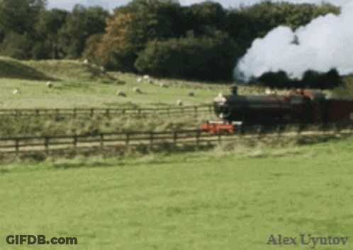 A Train Going Through A Grassy Field With Alex Uyutov Written In The Corner GIF