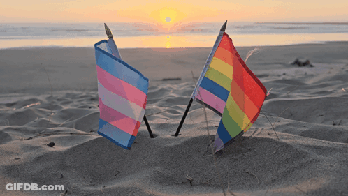 A Transgender Flag And A Rainbow Flag Are In The Sand On A Beach GIF