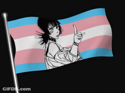 A Transgender Flag With A Girl On It GIF