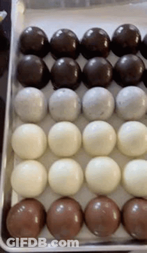 A Tray Of Chocolate Balls Of Different Flavors And Colors . GIF