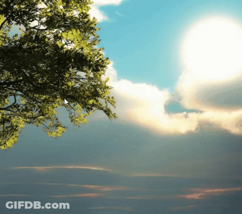 A Tree Branch Against A Cloudy Sky With A Mouse Pointer Pointing To The Sun GIF