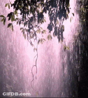 A Tree Branch Hanging Over A Waterfall With A Pink Background GIF