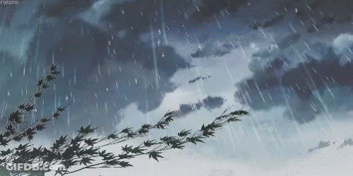 A Tree Branch Is Silhouetted Against A Cloudy Sky While Rain Falls GIF