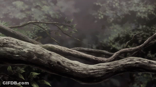 A Tree Branch With A Lot Of Branches And Leaves On It GIF