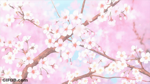 A Tree Branch With Pink Flowers On It GIF