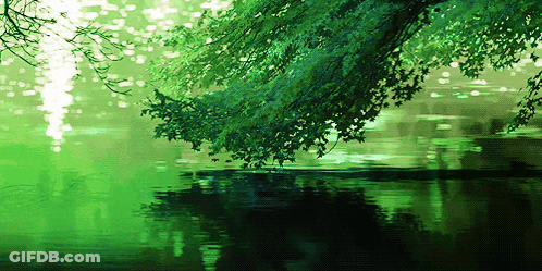 A Tree Branches Over A Body Of Water GIF