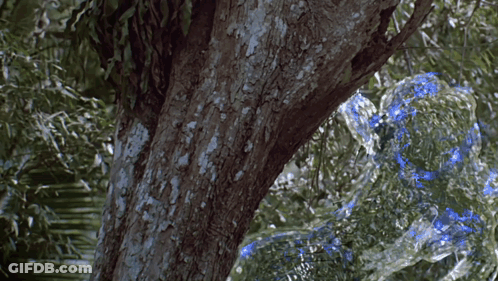 A Tree In A Forest With A Blue Bubble In The Background GIF