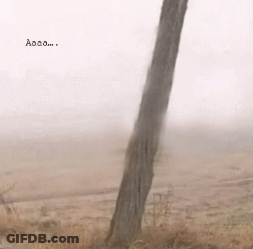 A Tree In The Middle Of A Field With The Word Aaaa Written On The Bottom GIF