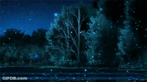 A Tree In The Middle Of A Forest With A Starry Night Sky In The Background GIF