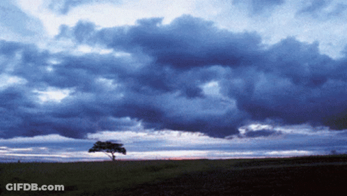 A Tree Is Silhouetted Against A Cloudy Sky At Sunset GIF