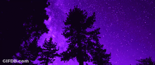 A Tree Is Silhouetted Against A Purple Starry Sky GIF