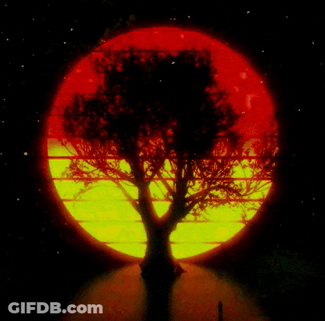 A Tree Is Silhouetted Against A Red And Yellow Background GIF