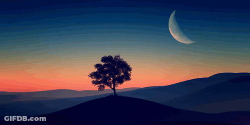 A Tree On Top Of A Hill At Sunset With A Crescent Moon In The Sky GIF