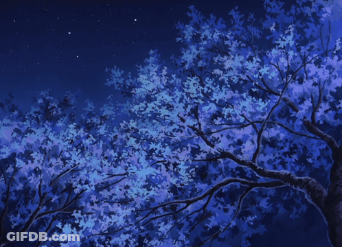 A Tree With Blue Leaves And White Petals Against A Night Sky GIF