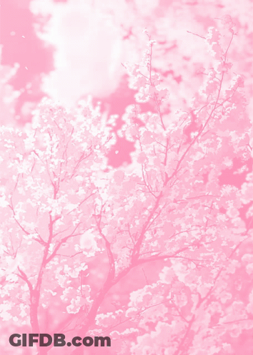 A Tree With Pink Flowers On It Against A Pink Sky GIF