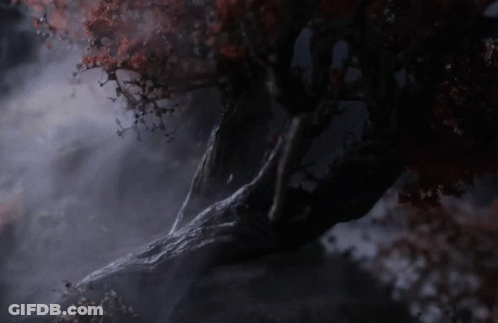 A Tree With Red Leaves Is In The Dark GIF