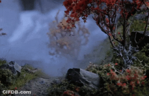 A Tree With Red Leaves Is Surrounded By Rocks And Moss GIF