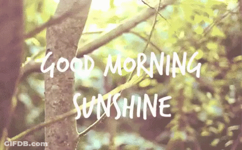A Tree With The Words `` Good Morning Sunshine '' Written On It . GIF