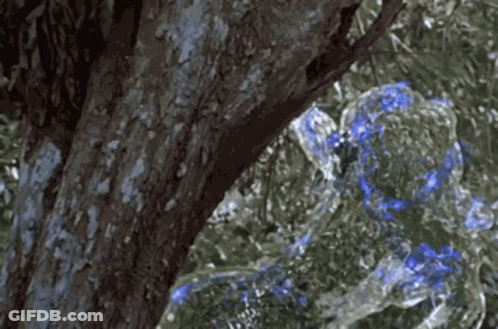 A Tree With Water Coming Out Of It GIF