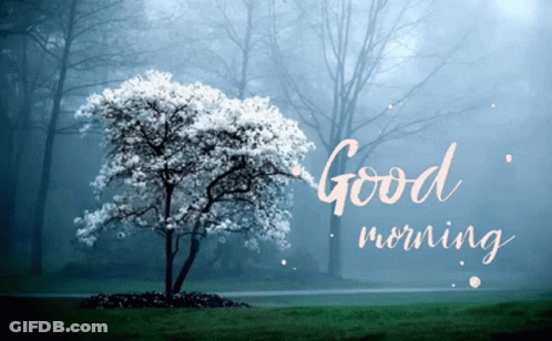 A Tree With White Flowers In A Foggy Forest With The Words Good Morning GIF