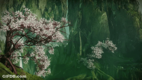 A Tree With White Flowers Is In A Forest GIF