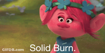A Troll With Flowers In Her Hair Is Standing In A Field With The Words `` Solid Burn '' Written Below Her . GIF