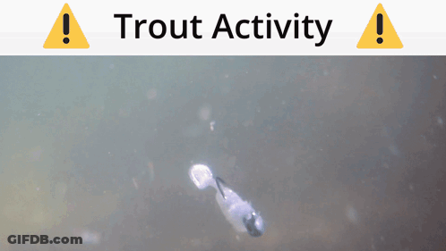 A Trout Activity Warning Sign With A Picture Of A Fish In The Water GIF