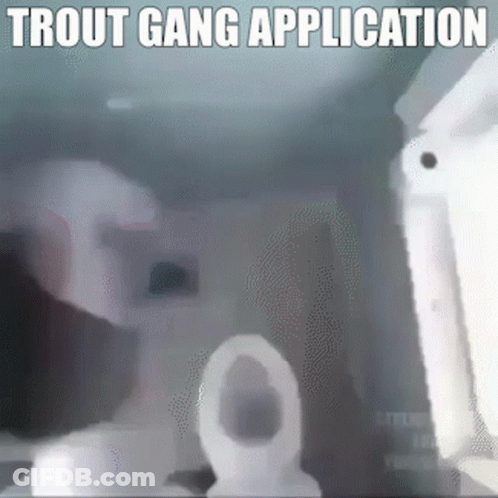 A Trout Gang Application Is Displayed On A Screen GIF