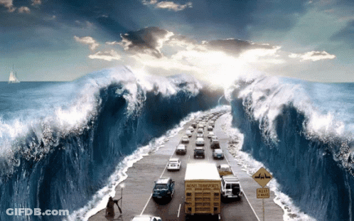 A Truck That Says Pacific Transportation Is Driving Down A Highway GIF