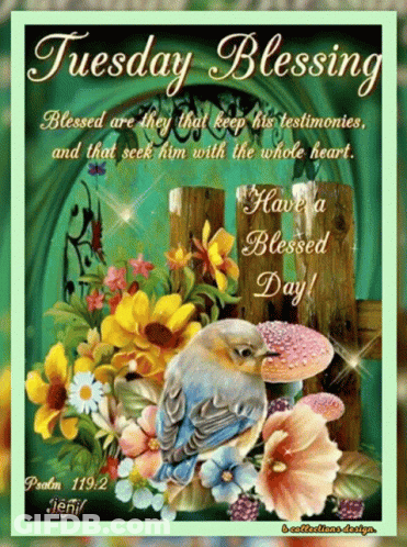 A Tuesday Blessing Card With A Bird Surrounded By Flowers GIF