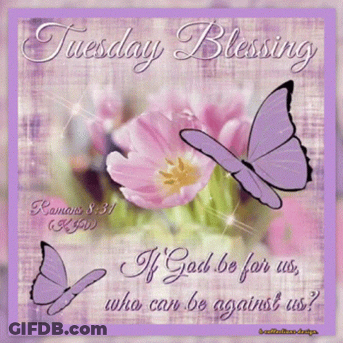 A Tuesday Blessing Greeting Card With Purple Butterflies And Pink Flowers GIF