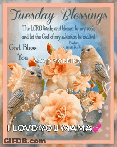 A Tuesday Blessings Card With Birds And Flowers With A Bible Verse GIF