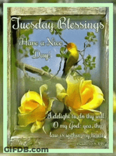 A Tuesday Blessings Have A Nice Day Card With Yellow Flowers And A Bird GIF