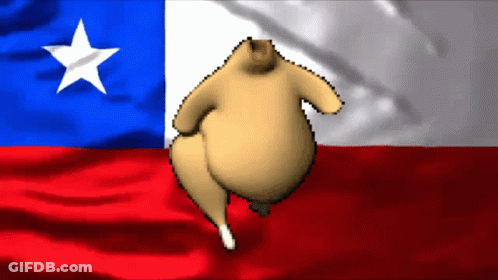 A Turkey Is Dancing In Front Of A Flag Of Texas GIF