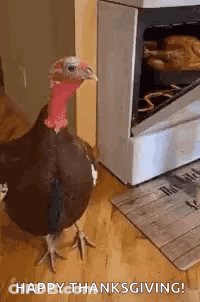 A Turkey Is Standing In Front Of A Stove . GIF
