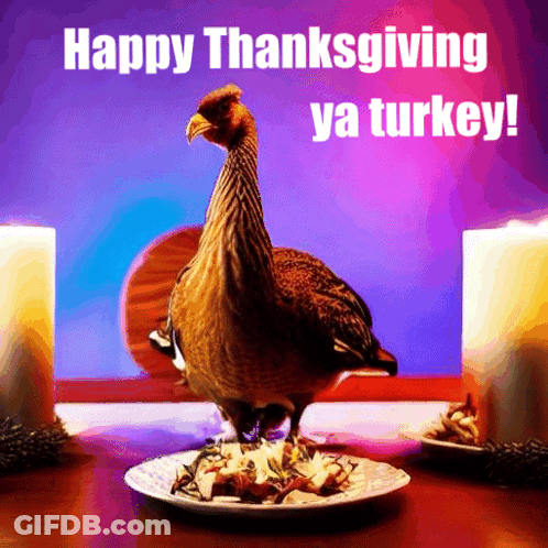 A Turkey Is Standing On A Plate Of Food With The Words Happy Thanksgiving Ya Turkey Below It GIF
