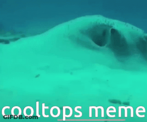 A Turquoise Background With The Words Cooltops Meme Below It GIF