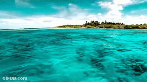 Turquoise Ocean With Small Island GIF