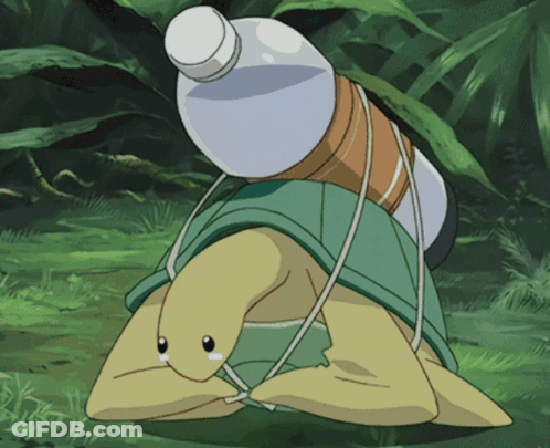 A Turtle Is Carrying A Bottle On Its Back GIF