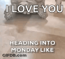 A Turtle Is Sitting On A Tiled Floor With The Words `` I Love You Heading Into Monday Like '' . GIF