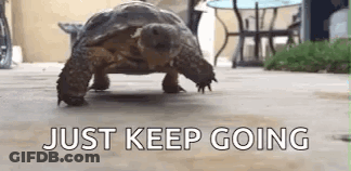 A Turtle Is Walking On A Sidewalk With The Words `` Just Keep Going '' Written On The Bottom . GIF