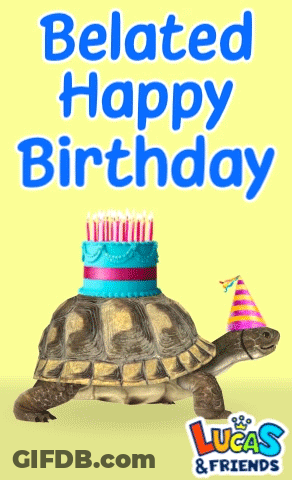 A Turtle Wearing A Party Hat And A Cake On Its Head With The Words Belated Happy Birthday GIF