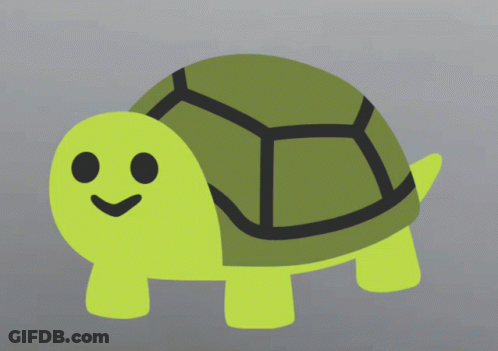 A Turtle With A Smile On Its Face GIF