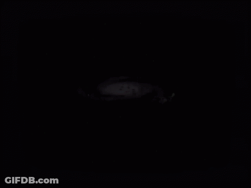 A Tv Screen Says This Week In The Universe On It GIF