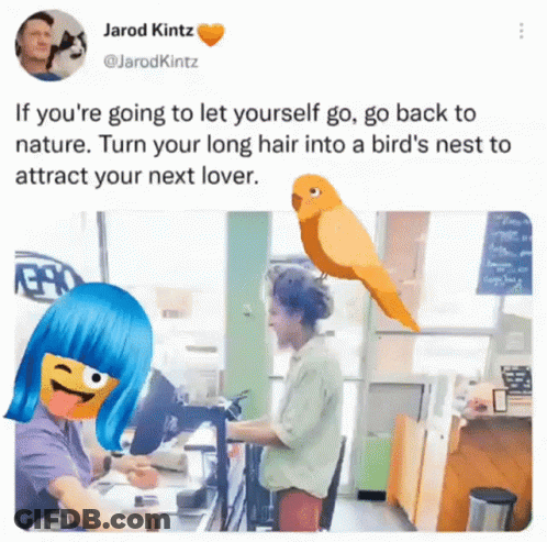 A Tweet By Jarod Kintz Shows A Woman And A Parrot GIF