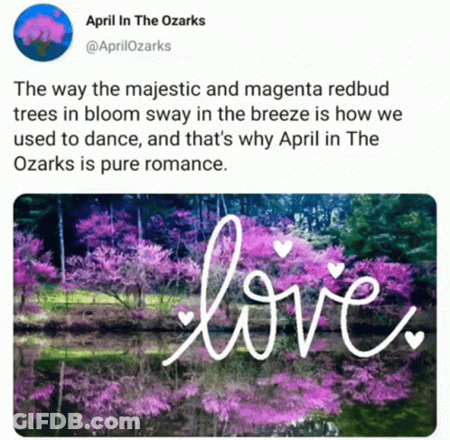 A Tweet From April In The Ozarks Shows A Picture Of Pink Flowers GIF
