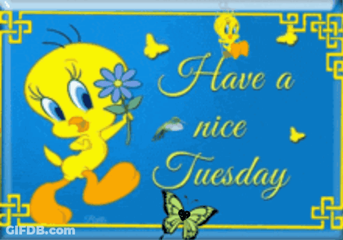 A Tweety Bird Holding A Flower With The Words Have A Nice Tuesday Below It GIF