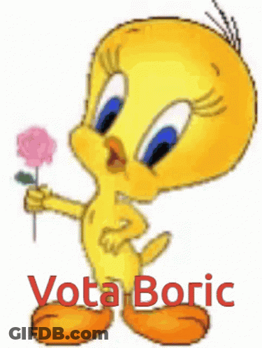 A Tweety Bird Is Holding A Pink Flower And The Words Vota Boric Are Below It GIF