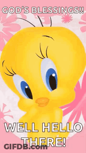 A Tweety Bird Is On A Pink Background And Says `` God 'S Blessings ! Well Hello There ! '' GIF