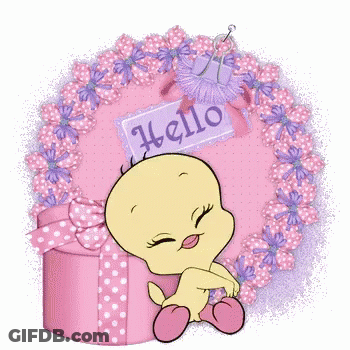 A Tweety Bird Is Sitting Next To A Pink Gift Box With A Hello Sign On It GIF